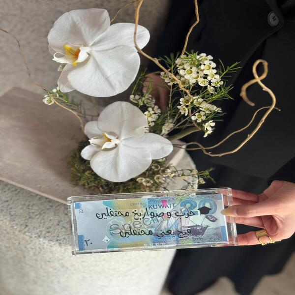 66c74c7d_WhatsApp Image 2026-04-23 at 6.52.39 PM (1).jpeg